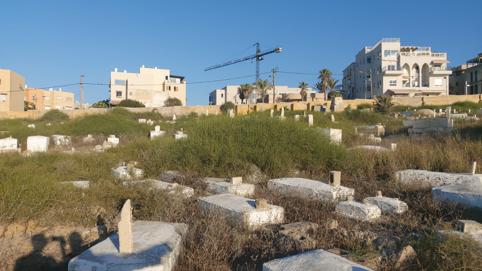 WhatsApp Image 2020-08-17 at 7.30.15 PM (1).jpeg.jpeg